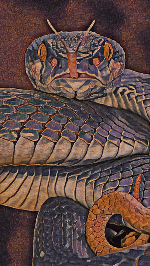 Item #74388721199083954673298778298232823886096642493620239959546429215304356724737 Media