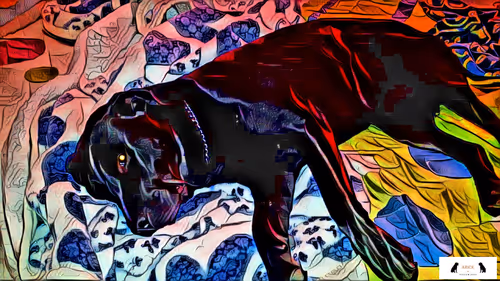 Item #10567450016853403337930259676618451783682953632793231315200837908594409078785 Media