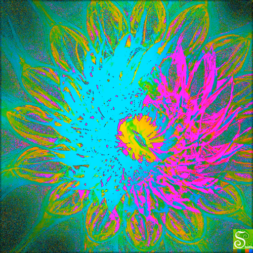 Item #5300990577751639940519187359519614350196596698587935596427120910974435983361 Media