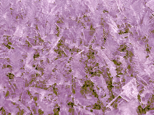 Item #765092353256913632150919755788123742064288550691722566356929325460891893770 Media