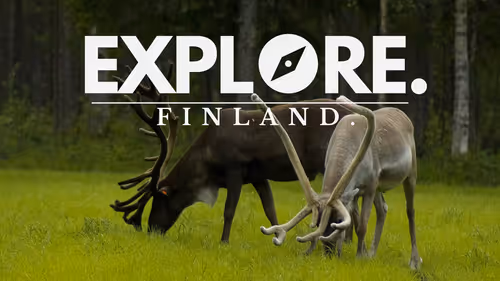 Item #55167293475857333829963200193227146355535503943447662520927477468668777988097 Media