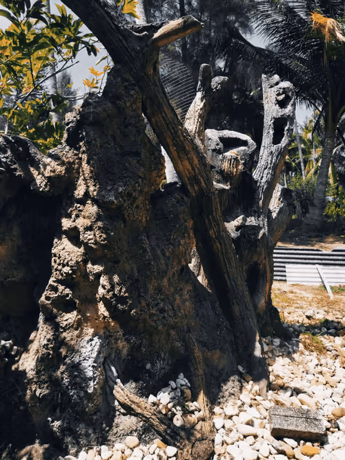 Item #26315463919006413240702995586573937938911851246900991635310397657461500674049 Media