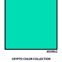 #03f8b2