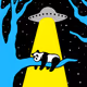 110029440636484857181842048809947353275856968164737590756146771076866503606282