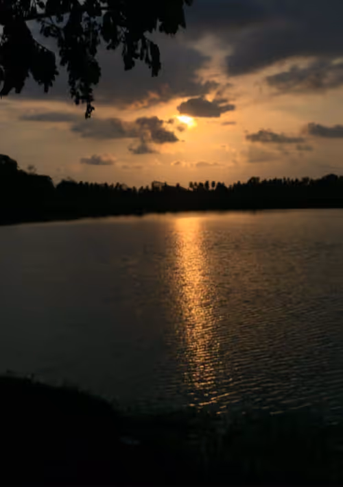 Item #23972066131644954880871032786147297383770698726080956565782300869121005322241 Media