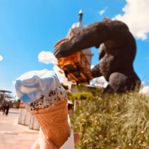 Item #54053091687754538640271046822082760989743948860785190547878261622217595944961 Media