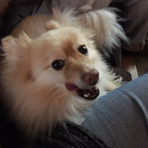 Item #64621857218908969805436813467571944561456447012406040162428920299217523582736 Media