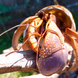 91920838516500969586140493576070920060778375503638515337937380310727339802625