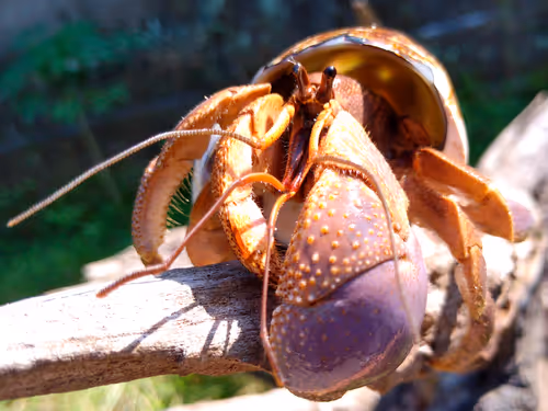 Item #91920838516500969586140493576070920060778375503638515337937380310727339802625 Media