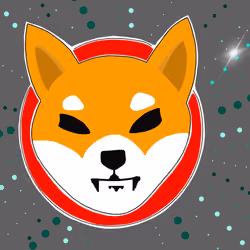 peekaboo art "shiba to the moon"