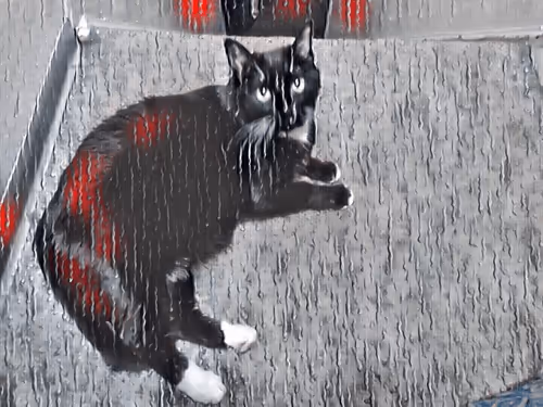 Item #47363753603702379708308966357623410528548816847410412850833506891673999769700 Media