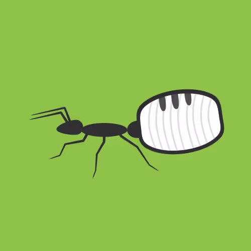 Item #52905312579775753804983845388963824278279577611114469594368888415397349425153 Media