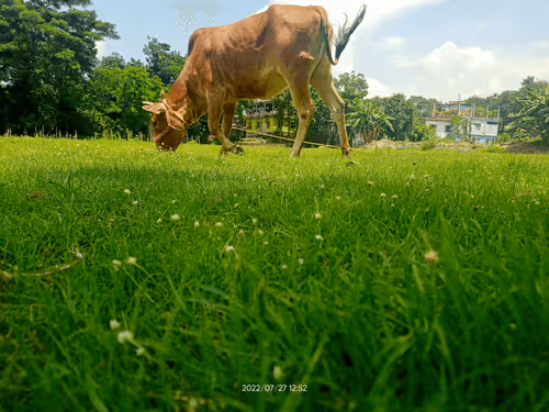 Item #25001874992909789221756422500664189016414300452201203009215054760866383659018 Media