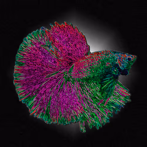 Item #73423654428024661336379470947819889295714855264791127270755008435783120977940 Media