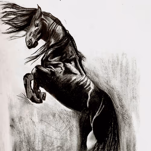 Item #88392049109375850439574262012811564620955616675651121480724544719291970224129 Media