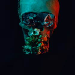 Vanitas