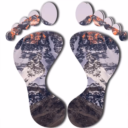 Item #41842670893582186884087288834939796392442202033770744037125834879151089123329 Media