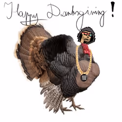 DripTurkey