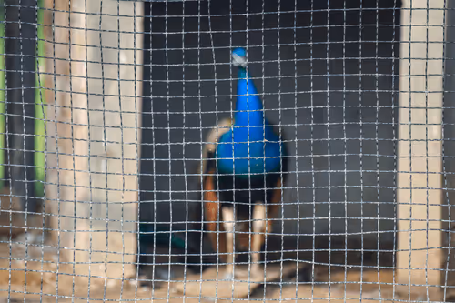 Item #81039049813216597257953829520223769972049979763513540310904561899052453593089 Media