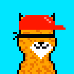 90563394352690505221166821639831502595964177235090668543198269543269384847361