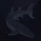 73788490183614268462378126413555843777384862160728538808510502486047063015425