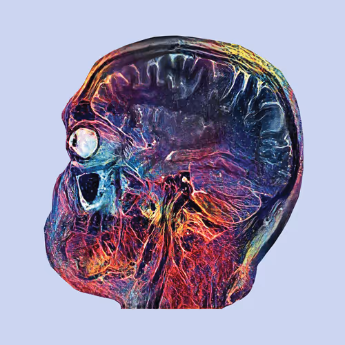 Item #103537199481813866111275584604128457749935418294223134182320110167803599781889 Media