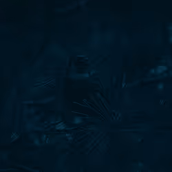 73753953460435185768528733246852358146358851613633830552060392574759060111365