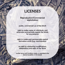 License Level 4 - Reproduction/Commercial exploitation