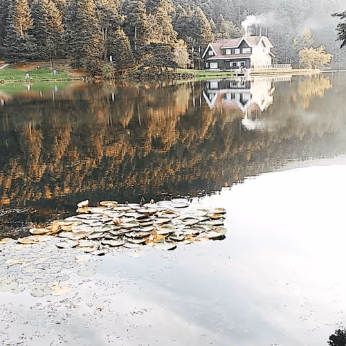 Item #108351031630289637415897530635651202870859629052616286877022309901564934881281 Media