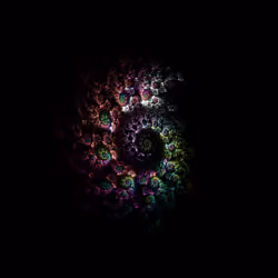 Gemma Spiralis #10