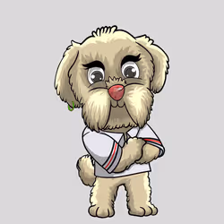 7243329258364634917720300224334287044926108380145980626918077991592260534273