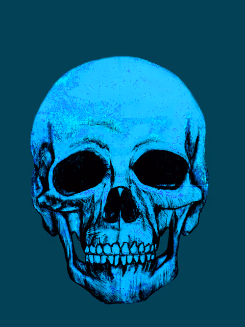 Item #64245209224403498454776654432632692280897578886974877292101336809292190187521 Media