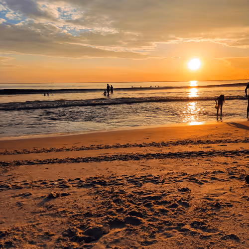 Item #76789129689388299706655966014022744743344792406865654046008114604871748943873 Media