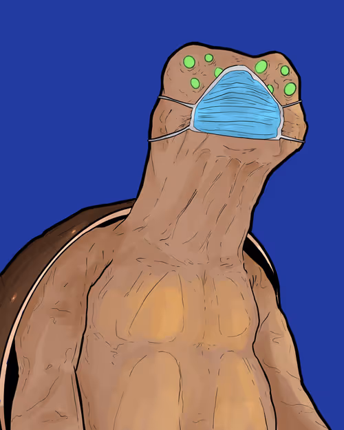 Item #76322898494659010849473475522209921743606745183670507272520734207568097837057 Media