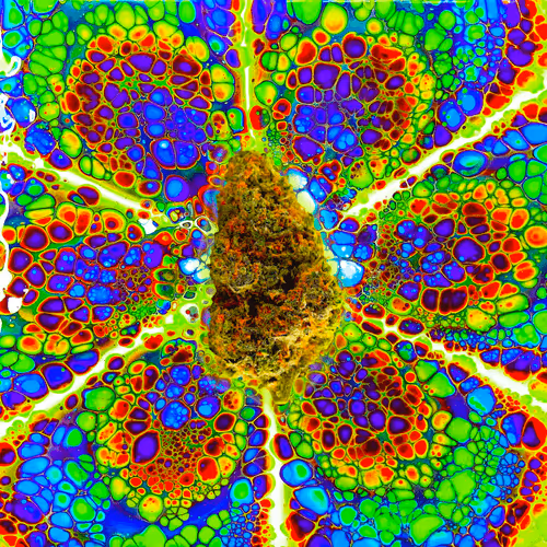 13955282856406335165414100891374623718709547313428947888299034047316276281345