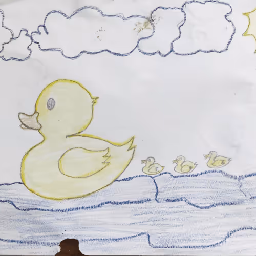 Untitled Collection #141625399