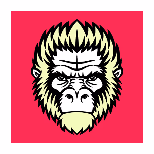 Item #100845055208083656102063606175509205911342403172182786086923762900422577094657 Media