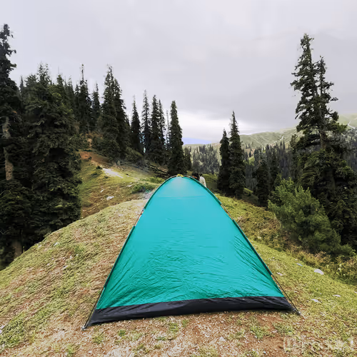 Item #105067089145007266615473555055225375282195758072347953631848622701078737059841 Media