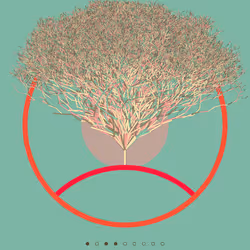 74168867016011539093366687608765447348507224284888477074887988834769829888001