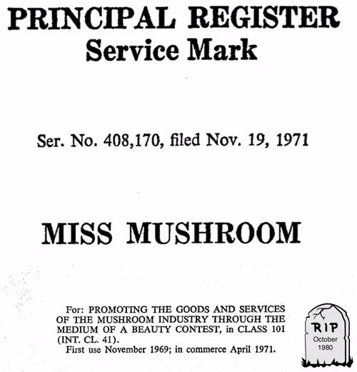 Item #55283781113094121569988591771599101390183374587181493747766222107072675184641 Media