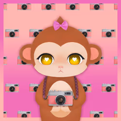 74964889912527888466668432323721717966582142660906329511414435327121698062337