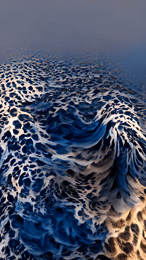 Item #1033663973112237591396851351235188298511703399148038208764504618764710445057 Media