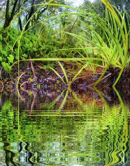 Item #33273431064062745158281459223994481396408298461003960329838769761301253062661 Media