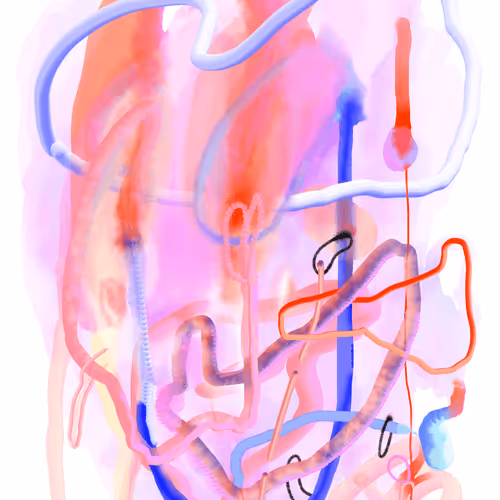 Item #62544175274822988898444676261516479540502496449157548643985441661870539800577 Media