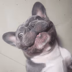 32237202173720727343948986965561335091197107318394763909165930973710329577473