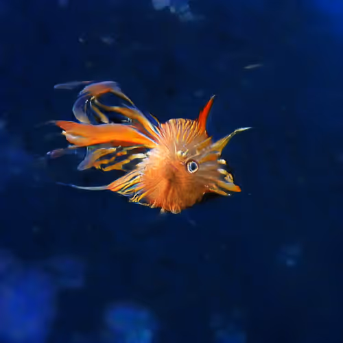 93923887731966639760197662534300547726212510779526051617655967351398029328385