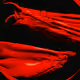 85759517738828704673039780349267707861604014890043287419735175350690208808980