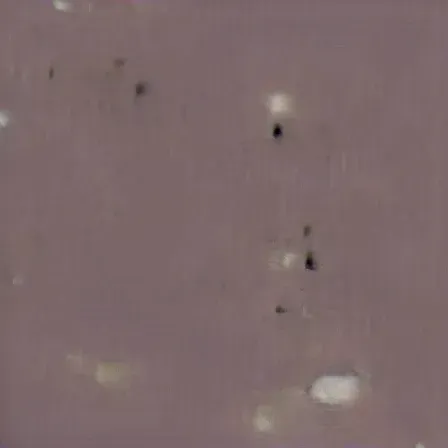 Item #69582821610154797198649513452028805967157135500521546609678814662917890244609 Media