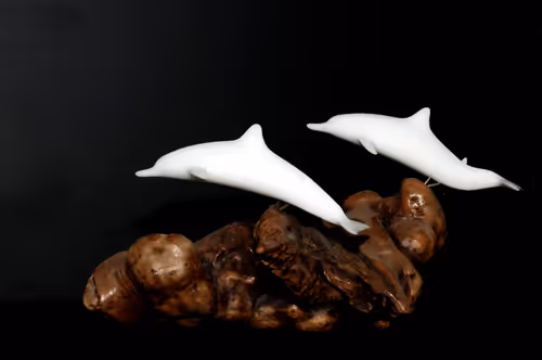 Item #47344123980109973813634142770242239438764360713225161879961012013241785647105 Media