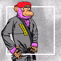 56013414916040467568860706043990986693245727030480677146115350168252297773057